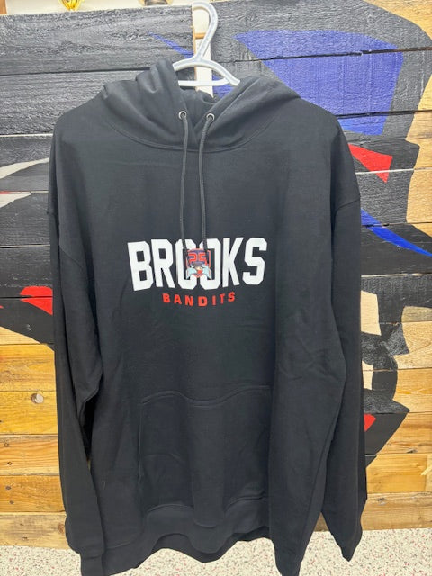25th Anniversary Adult Hoodie