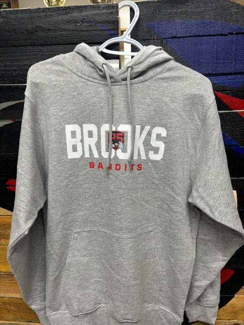 25th Anniversary Adult Hoodie