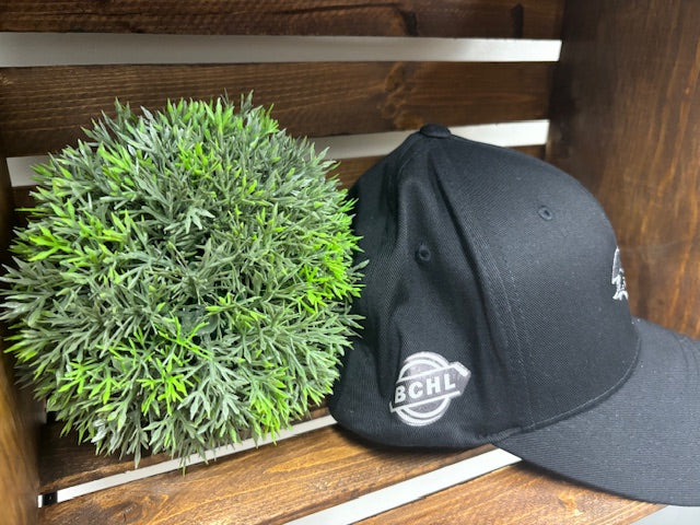 Black Flexfit Hat