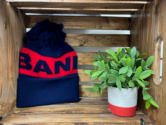 Pom Pom Toque