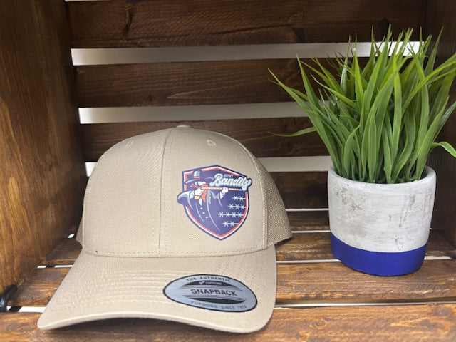 Khaki Third Logo hat