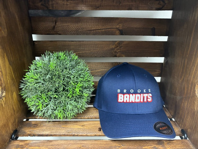 Navy Flexfit with embroidery