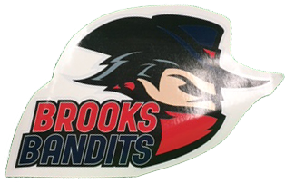 Bandit Logo Sticker – Brooks Bandits Store