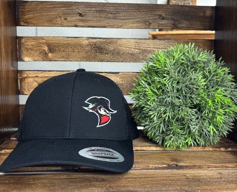 Black Flexfit with Black Logo