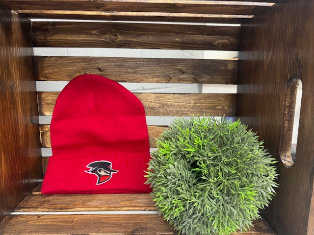Beanie Toque