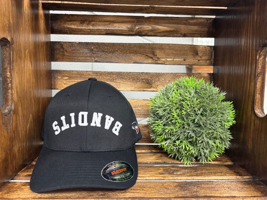 Flex fit Upside Down Logo Hat