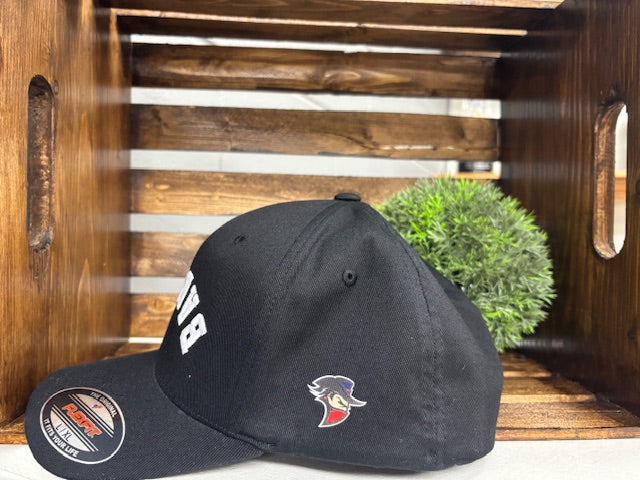 Flex fit Upside Down Logo Hat
